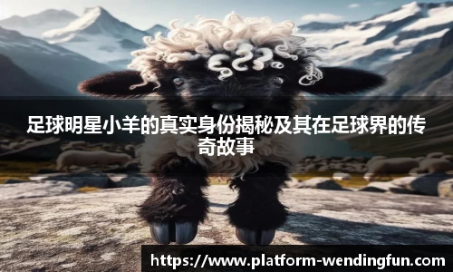 足球明星小羊的真实身份揭秘及其在足球界的传奇故事